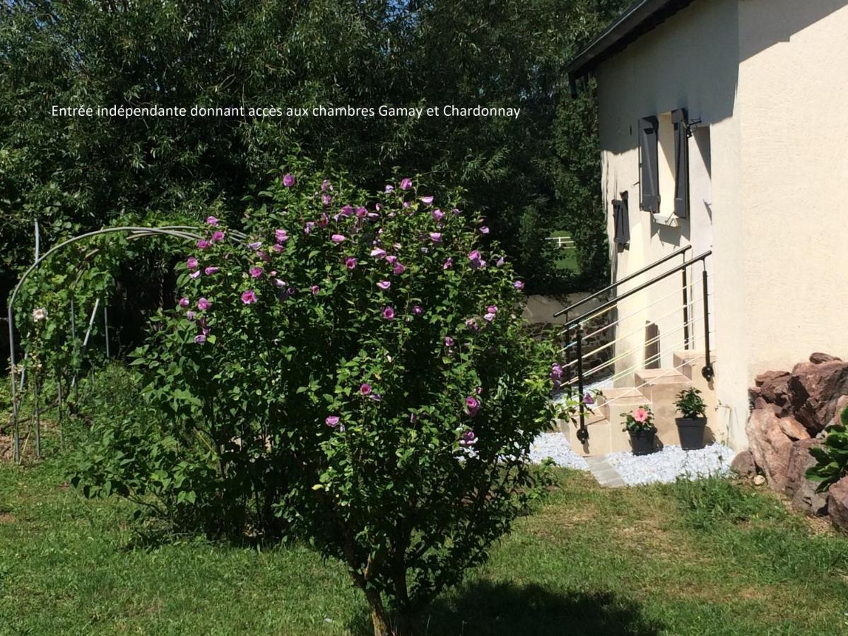 Le Grain De Louise Bed & Breakfast Lancie ภายนอก รูปภาพ